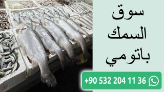 سوق السمك باتومي